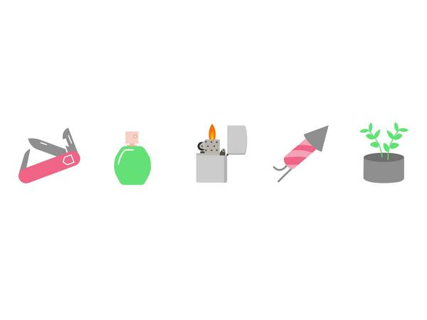 Swiss knife, perfume, lighter, firecracker, and plant