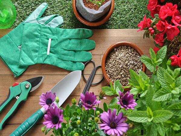 Gartengeräte und Pflanzen