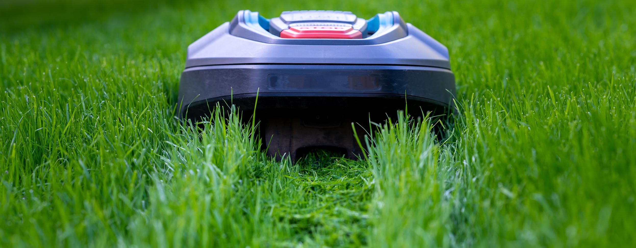 Ein Mähroboter mäht eine Bahn mitten in einen grünen Rasen.