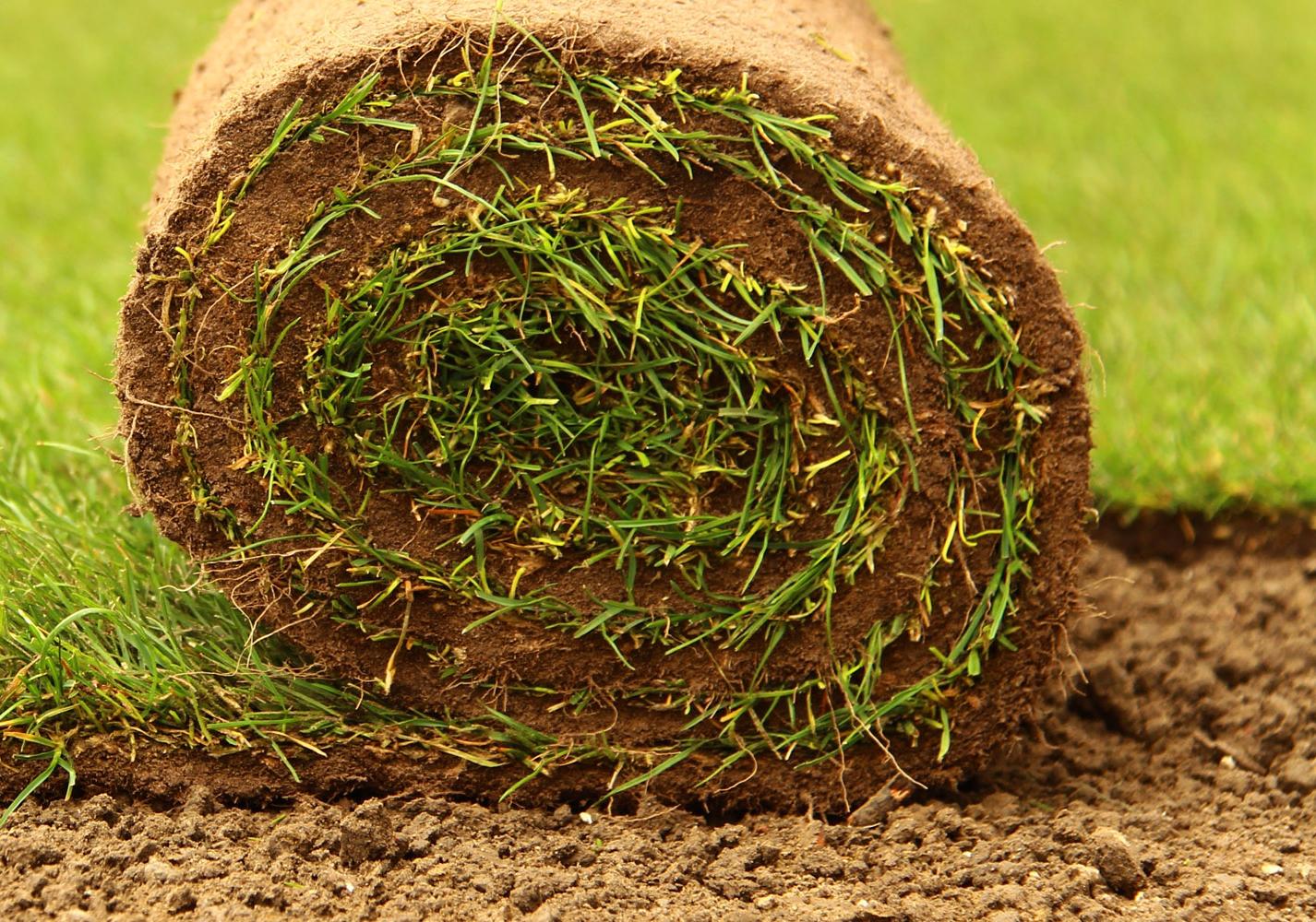 Vorbereitung für Rollrasen So ist dein Boden ideal gerüstet