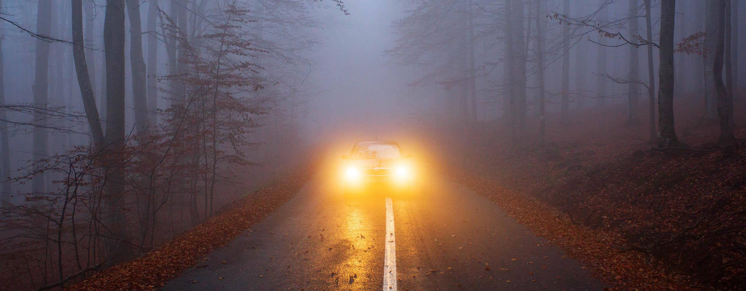 Ein Auto fährt auf einer nebligen Landstraße mit eingeschalteten gelben Nebelscheinwerfern.